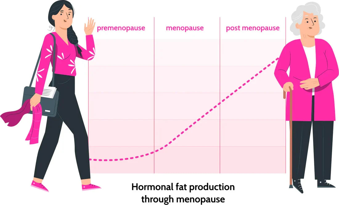 Illustration of the stages around menopause