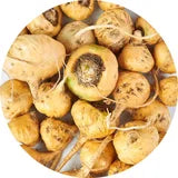 Maca root